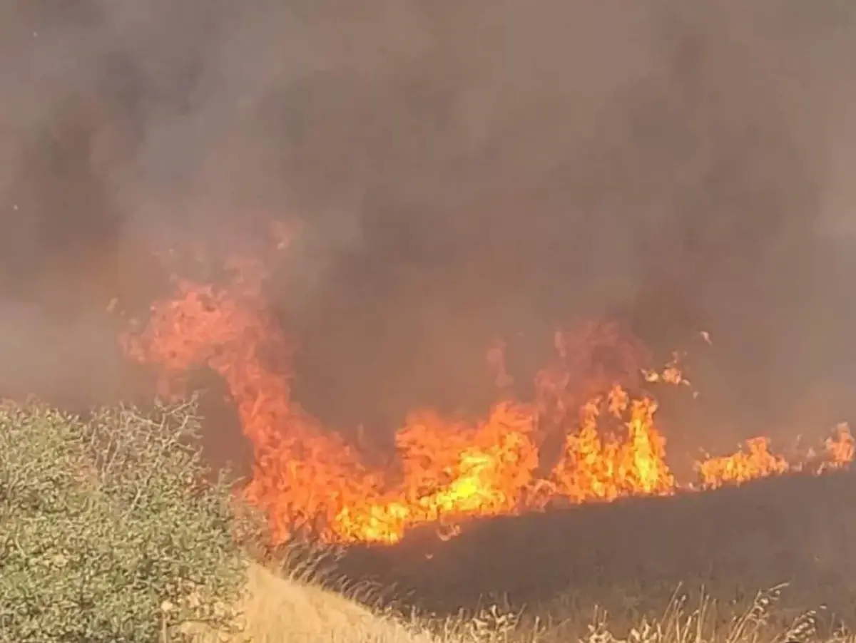 ipsalada bugday tarlasinda yangin FGpvi5dp