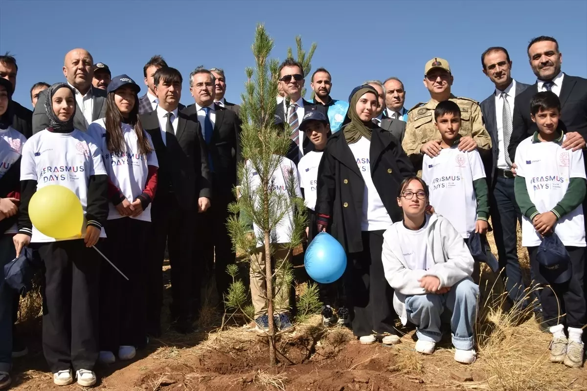 bitliste fidan dikme senligi h5Hs2vYy.jpg