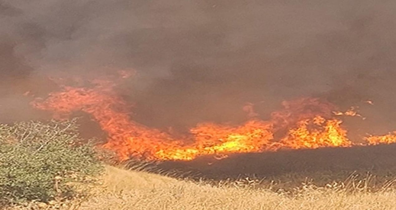 izmirde anizda cikip agaclik alana sicrayan yangin sonduruldu GupYdVU9