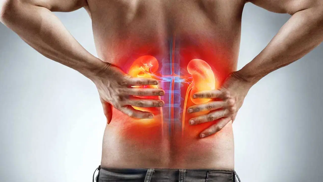 toksinlere karsi dogal kalkan saglikli ve guclu bobrekler icin en etkili 7 besin 61u6Olvp.jpg