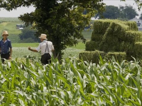 ABD Tarım Dışı Verimlilikte Yüzde 1,8’lik Artış Kaydedildi