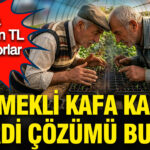 iki-emekli-kafa-kafaya-verdi-cozumu-buldu-hobi-olarak-basladilar-yilda-22-milyon-kazaniyorlar-QTORyj85