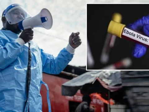Ebola kabusu geri dondu asisi ve tedavisi olmayan varyant yayiliyor UZYJ2Ocy