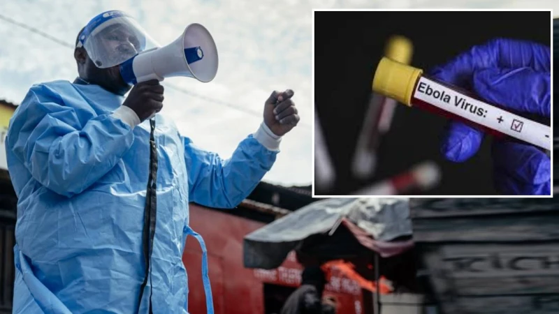 Ebola kabusu geri dondu asisi ve tedavisi olmayan varyant yayiliyor UZYJ2Ocy